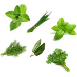 Herb Collage